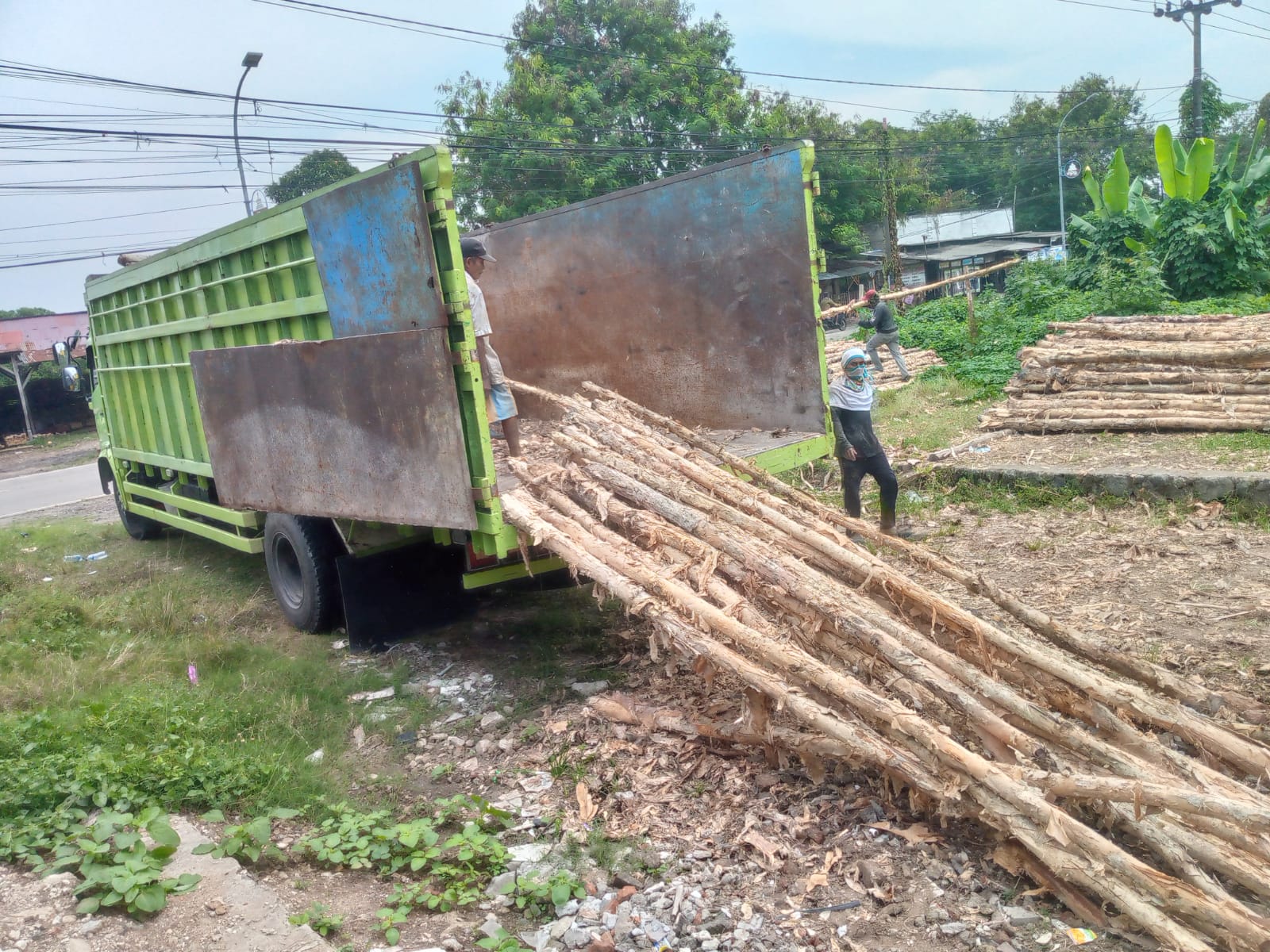 Cara Memilih Ukuran Kayu Dolken yang Tepat untuk Proyek Anda