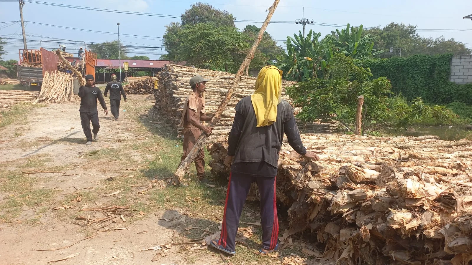 Aplikasi kayu dolken gelam untuk pagar dan konstruksi di area Bandung menunjukkan hasil pemasangan yang kokoh dan estetis untuk hunian dan komersial