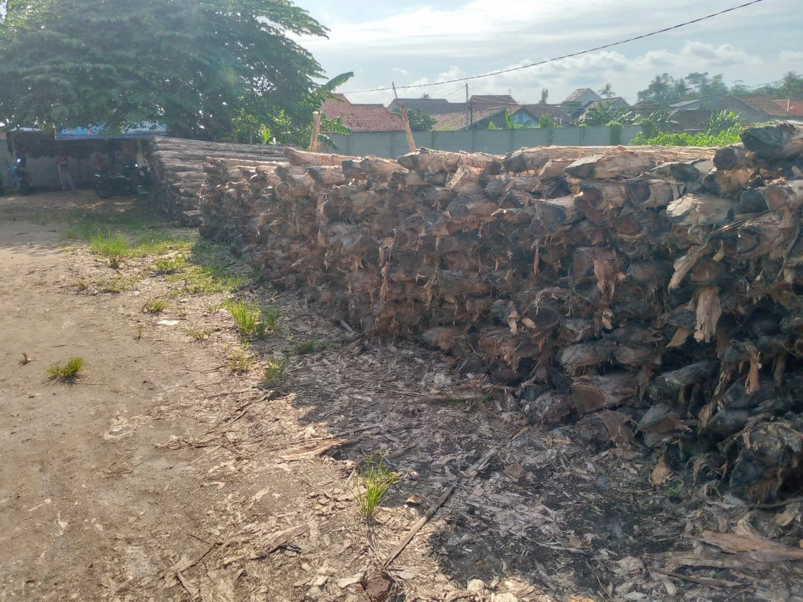 Detail tekstur serat kayu dolken gelam yang padat dan tahan lama cocok untuk iklim panas lembab Bekasi dengan ketahanan terhadap cuaca ekstrem