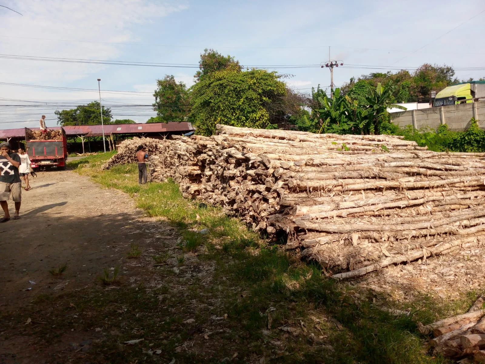 Proses pengiriman kayu dolken ke proyek konstruksi di Bekasi menggunakan armada truk untuk memastikan barang sampai dengan aman dan tepat waktu