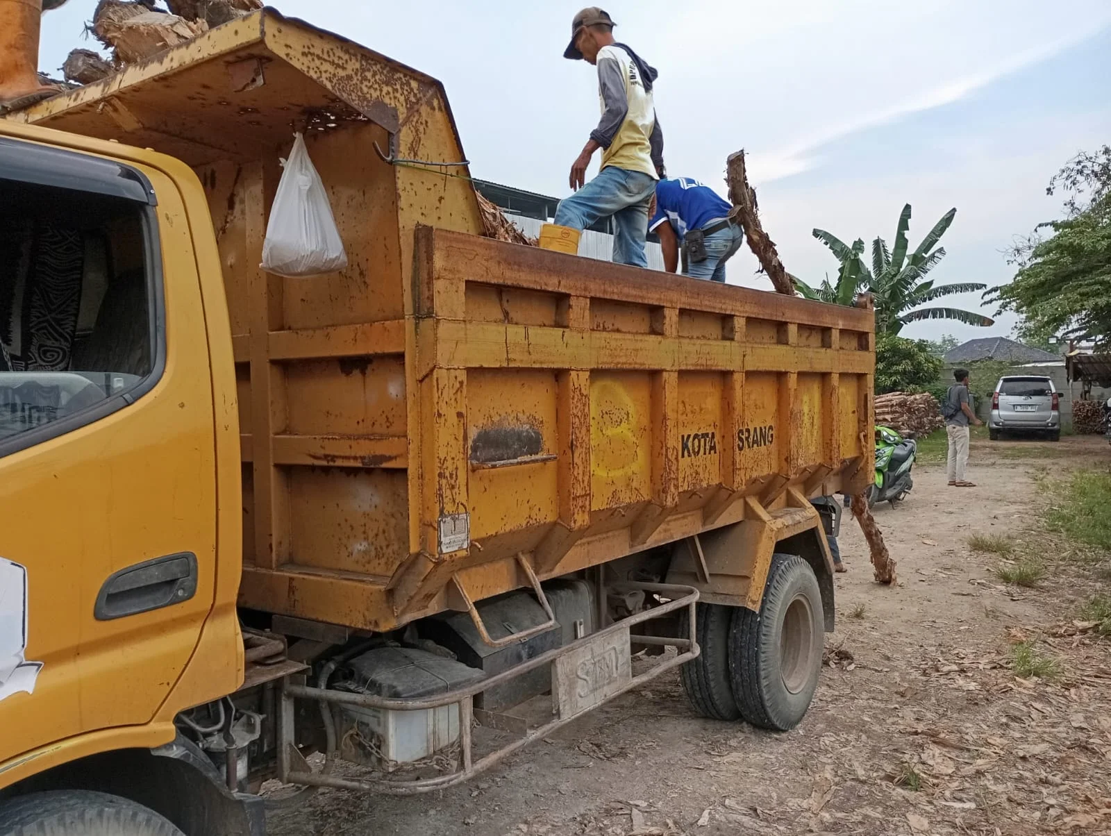 Jual Kayu Dolken Bogor | Gratis Ongkir & COD | Hub. 081311400177