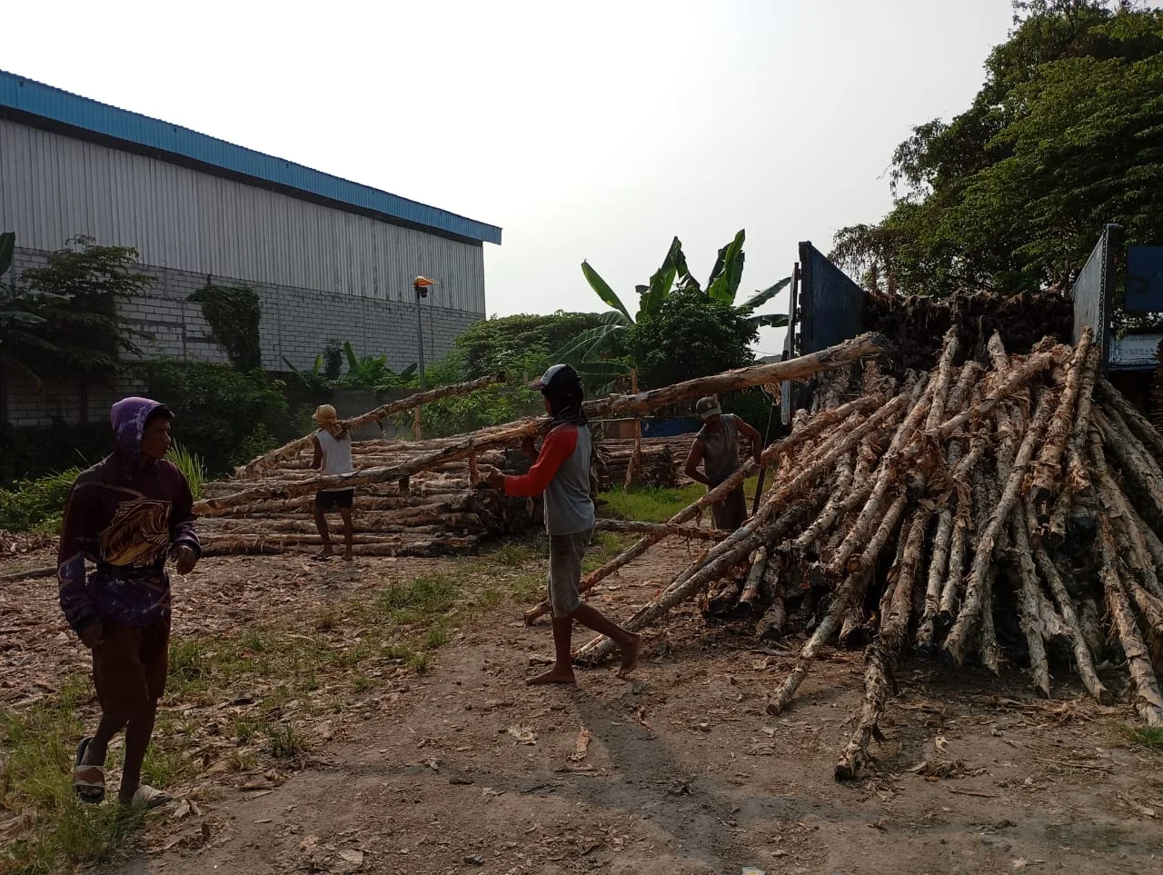 Jual Kayu Dolken Jakarta Barat | Gratis Ongkir & COD | Hub. 081311400177