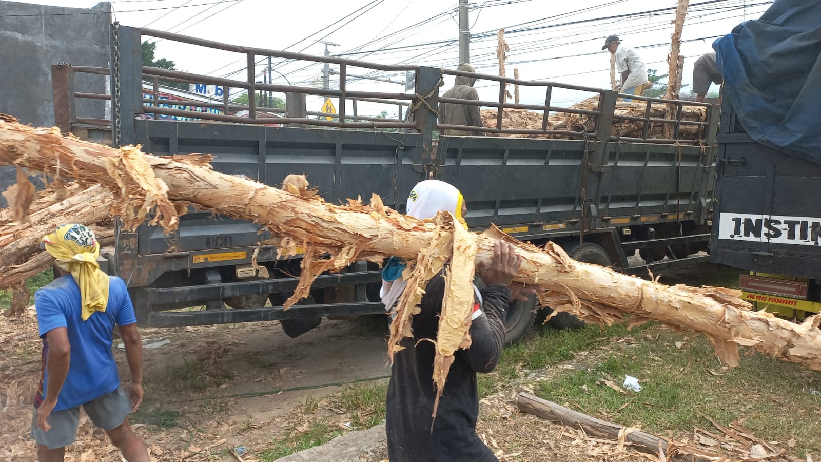Hasil pemasangan kayu dolken sebagai pagar dan tiang pancang di proyek perumahan Jakarta Utara menunjukkan kekuatan dan estetika yang optimal