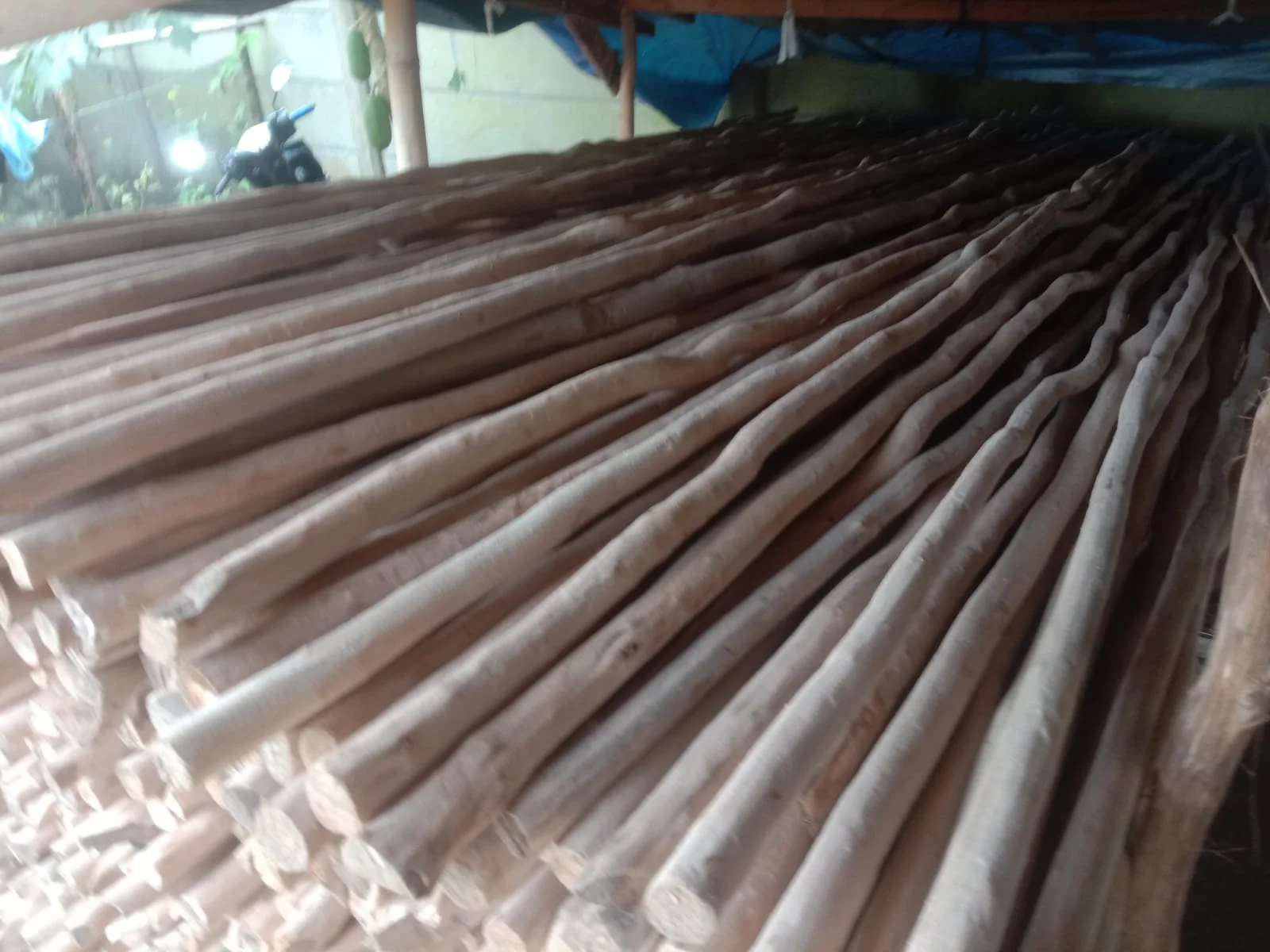 Kayu dolken gelam kualitas premium cocok untuk pagar pabrik dan konstruksi industri di Karawang dengan ketahanan tinggi terhadap cuaca ekstrem