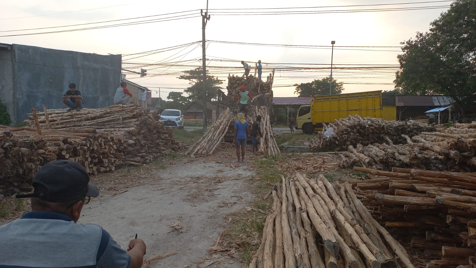 Jual Kayu Dolken Semarang - Hub 081311400177 - Gratis Ongkir