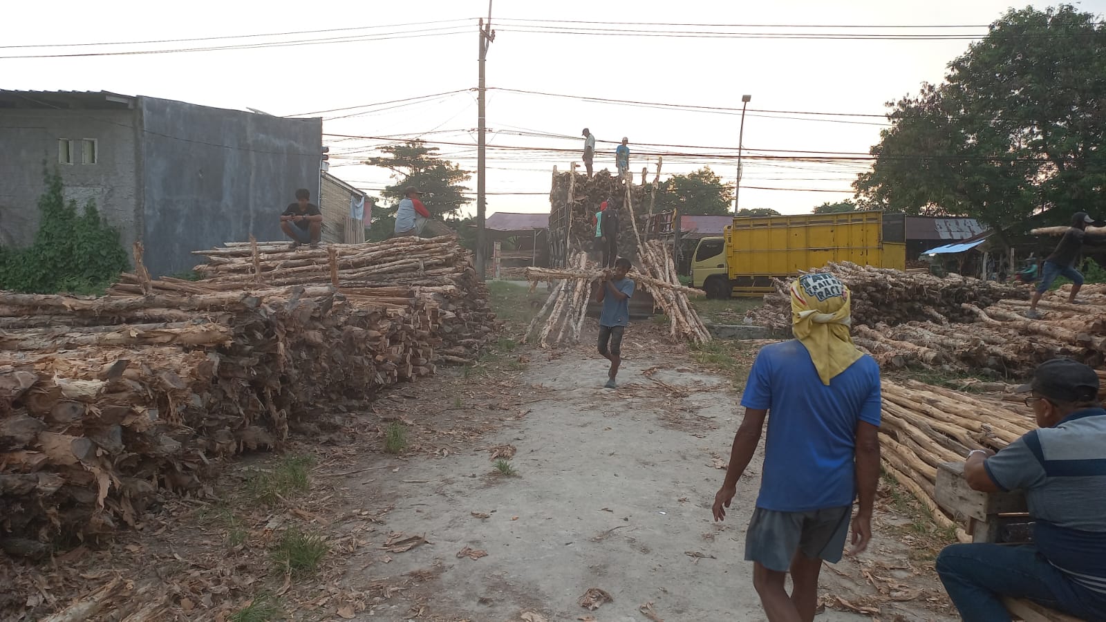 Pengiriman kayu dolken ke proyek konstruksi di Semarang menggunakan armada truk untuk memastikan material sampai dengan aman dan tepat waktu