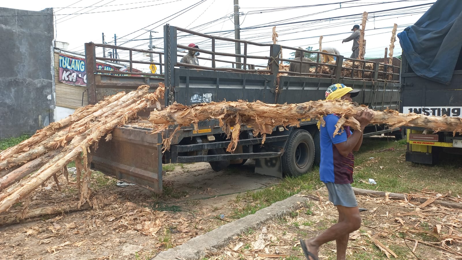 Kayu dolken gelam berkualitas premium cocok untuk konstruksi di Semarang dengan ketahanan terhadap iklim tropis dan kelembaban tinggi pesisir