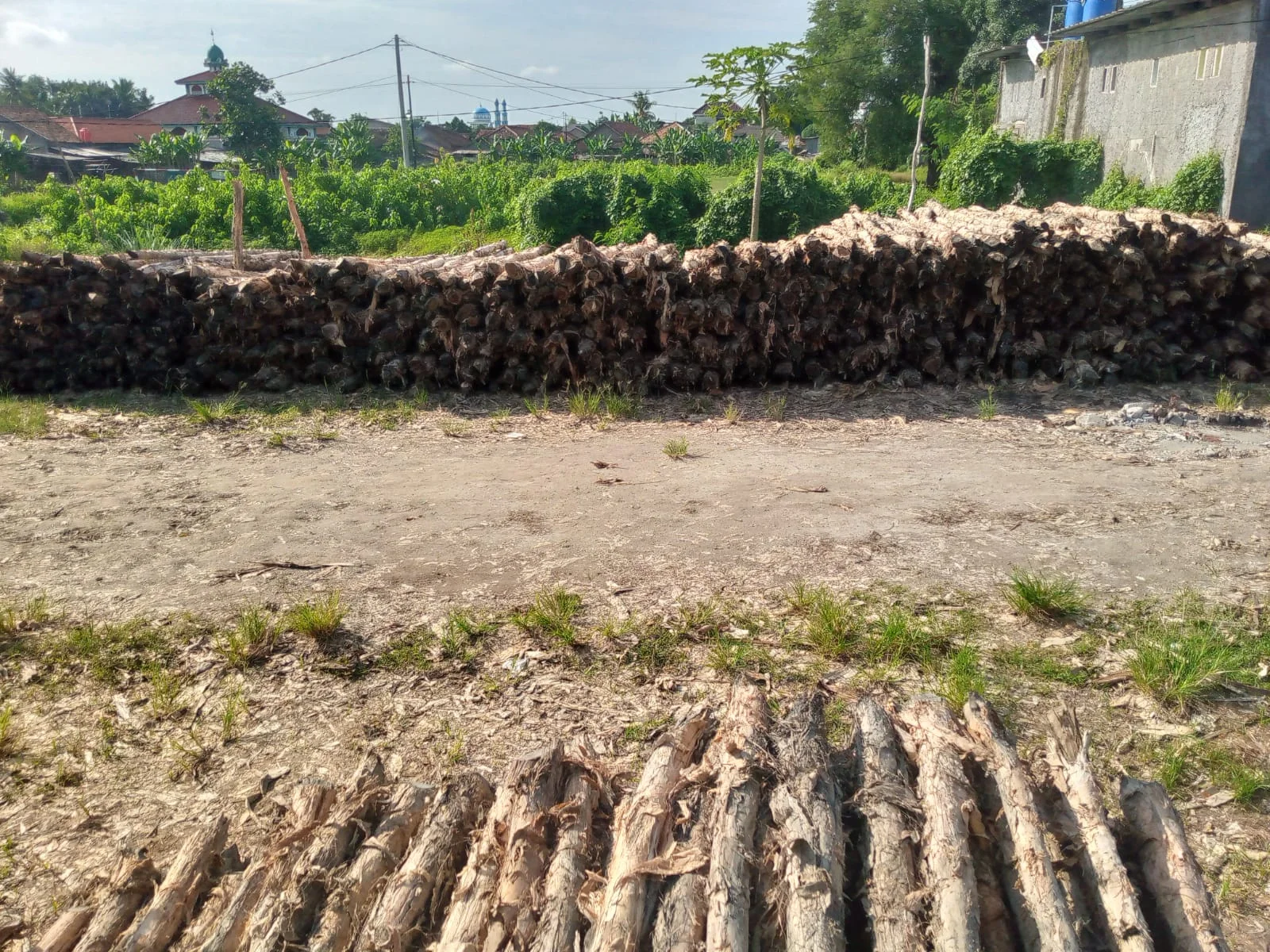 Proses pengiriman kayu dolken ke proyek konstruksi di Surabaya menggunakan armada truk untuk memastikan barang sampai dengan aman dan tepat waktu