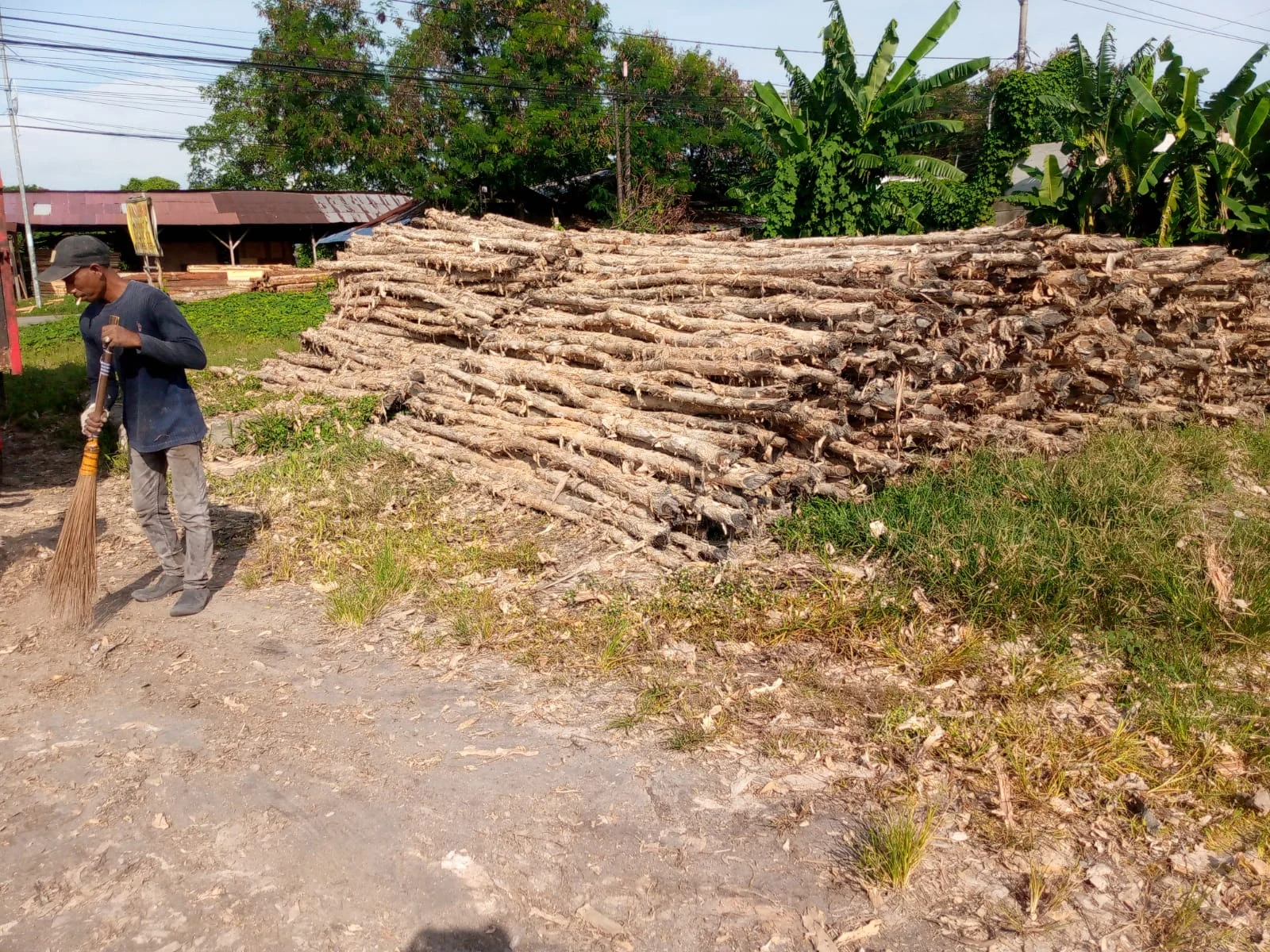 Aplikasi kayu dolken gelam untuk pagar dan konstruksi di area Surabaya menunjukkan hasil pemasangan yang kokoh dan estetis untuk hunian dan komersial