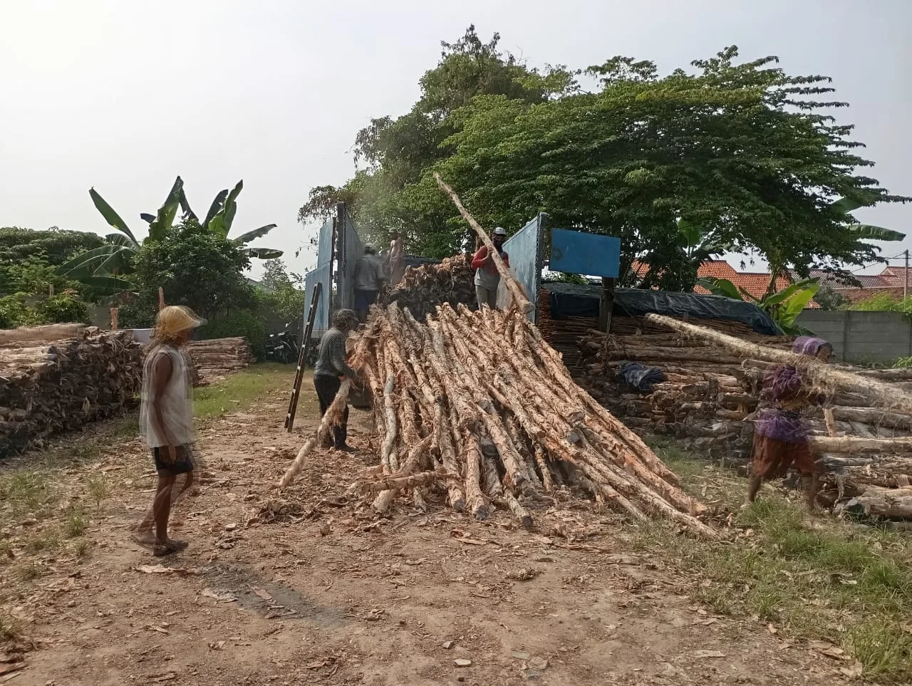Detail tekstur serat kayu dolken gelam yang padat dan tahan lama cocok untuk iklim tropis Tangerang dengan ketahanan terhadap cuaca ekstrem
