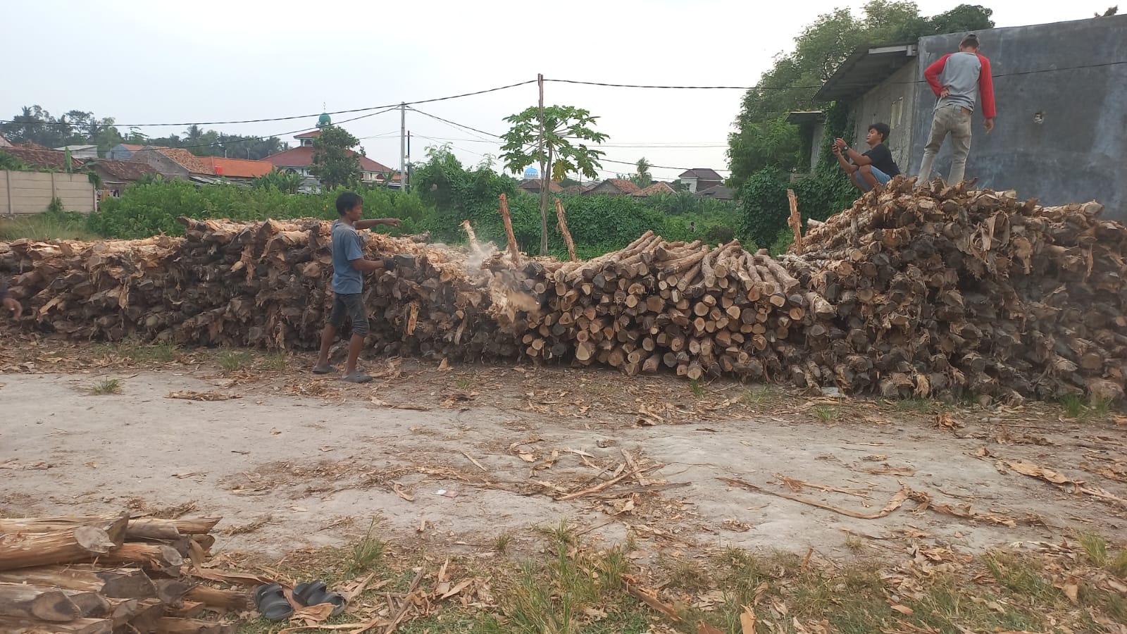 Armada pengiriman truk kayu dolken melayani distribusi ke seluruh wilayah Jabodetabek Jawa Tengah dan Jawa Timur dengan layanan cepat dan terpercaya