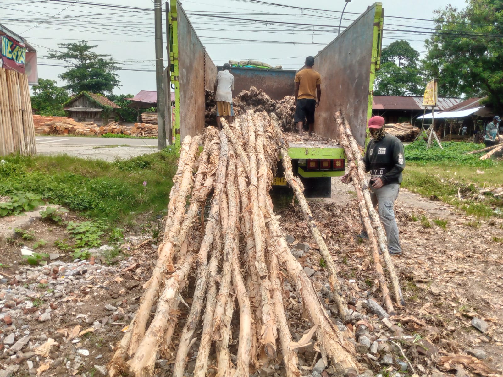 Keunggulan Kayu Dolken Gelam untuk Konstruksi