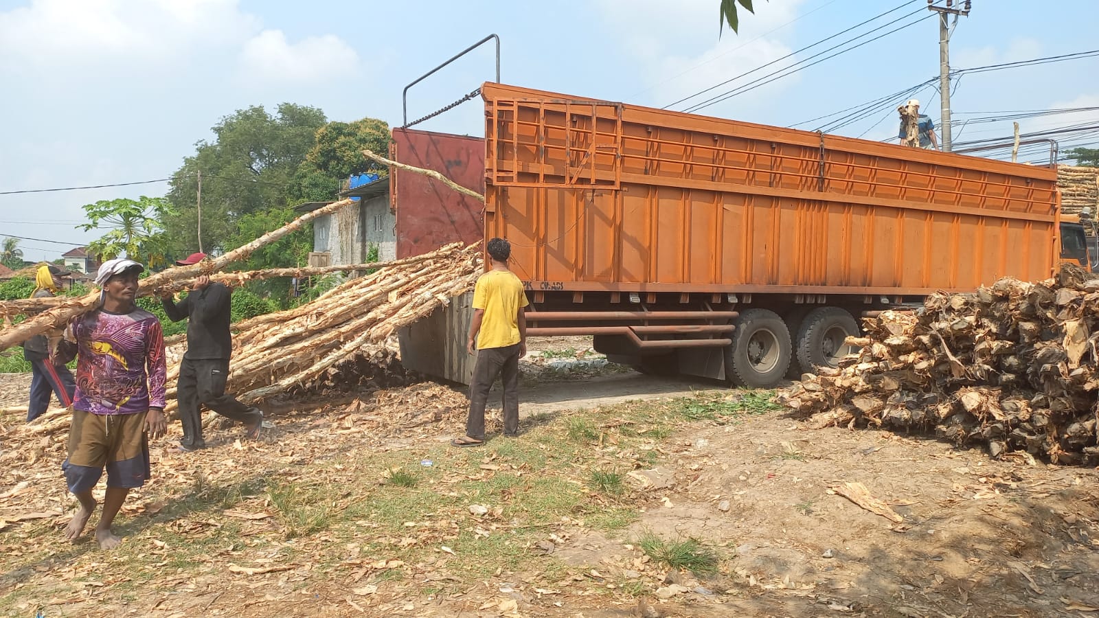 Tumpukan kayu dolken gelam 10-12 cm di gudang penyimpanan siap kirim untuk proyek konstruksi infrastruktur jembatan, dermaga, dan bangunan bertingkat