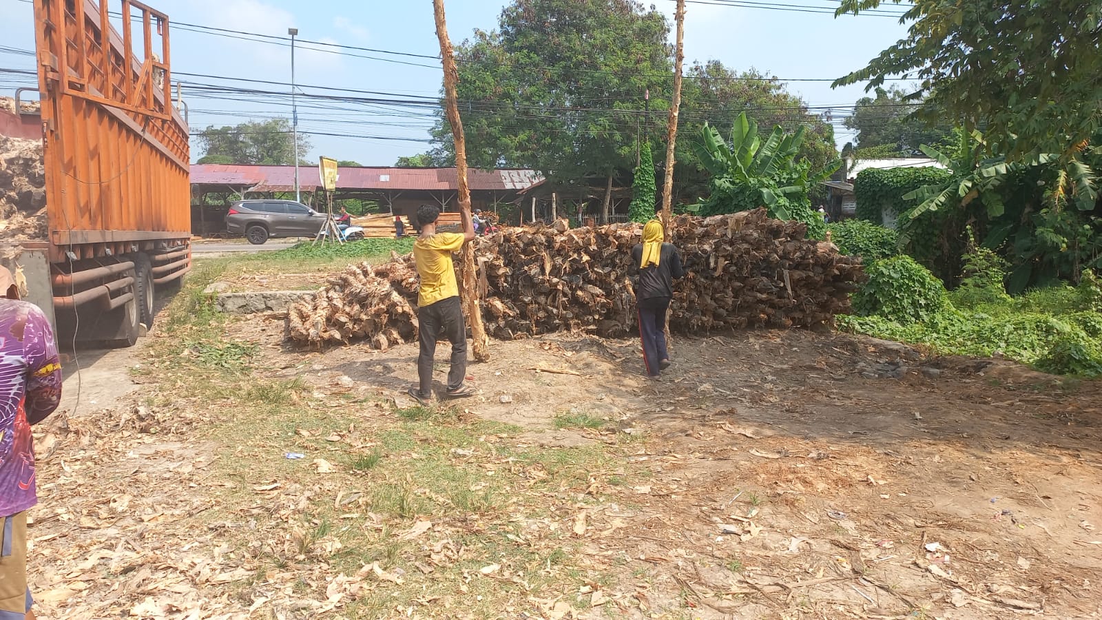 Penggunaan kayu dolken diameter 10-12 cm sebagai tiang pancang utama proyek infrastruktur menunjukkan aplikasi untuk beban struktural sangat berat dan permanen