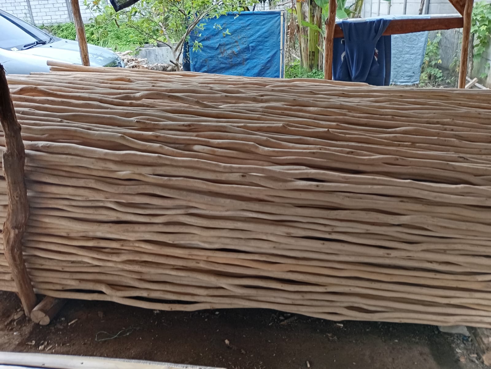 Kayu dolken gelam 2-3 cm tersusun rapi di gudang penyimpanan siap kirim ke seluruh Indonesia dengan sistem COD dan gratis ongkir untuk pembelian partai