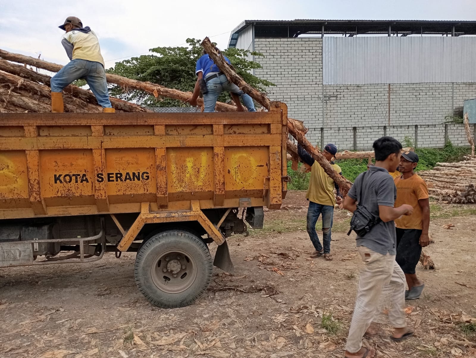 Proses pengiriman kayu dolken diameter 4-6 cm menggunakan truk untuk memastikan barang sampai dengan aman ke lokasi proyek konstruksi pelanggan