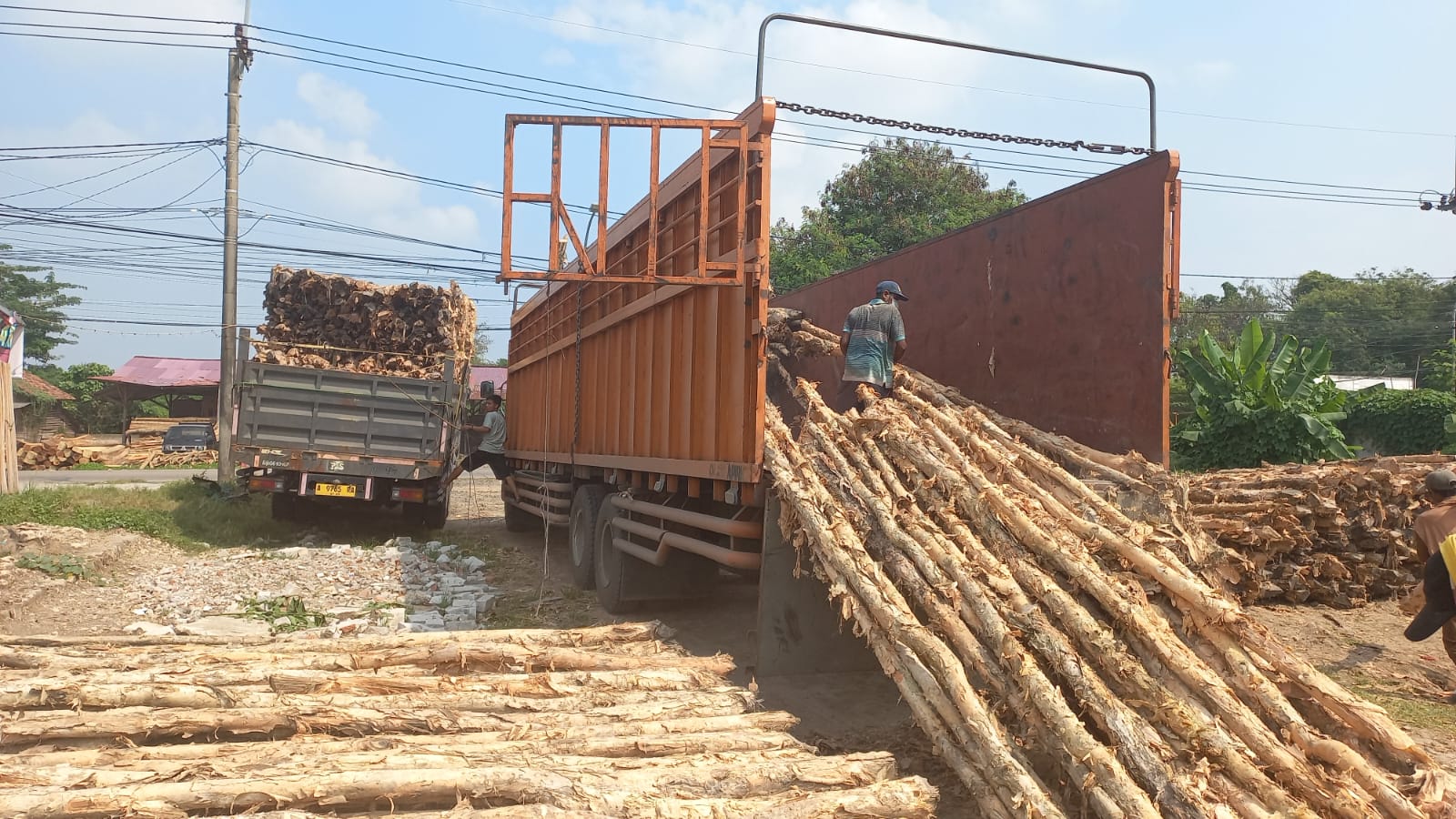 Jual Kayu Dolken Gelam Diameter 6-8 cm